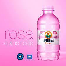 Kit 12x Água Mineral Lindoya Verão 240ml Garrafa especial ROSA