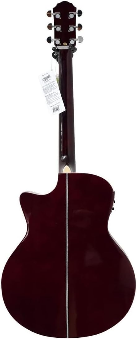 Violao Giannini Folk GSF3 Ceq Tdw