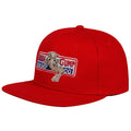 Snapback Bubba Gump Shrimp Company - 2 Modelos