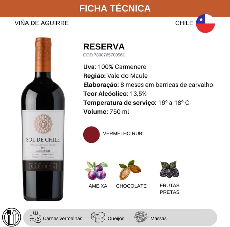 Vinho Fino Tinto Chileno Sol de Chile Reserva Carmenere 750ml