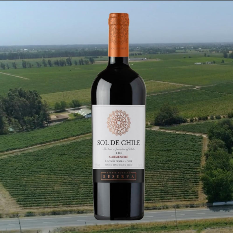 Vinho Fino Tinto Chileno Sol de Chile Reserva Carmenere 750ml