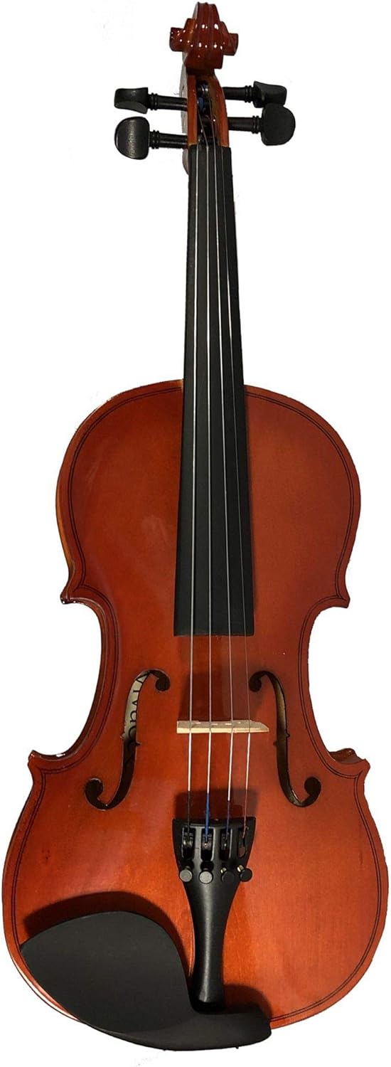 Violino Vivace Mozart Mo34 3/4 C/ Case Luxo