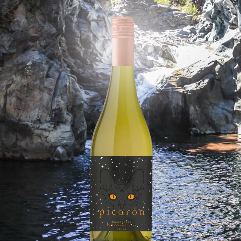 Vinho Chileno Picarón Chardonnay 750Ml