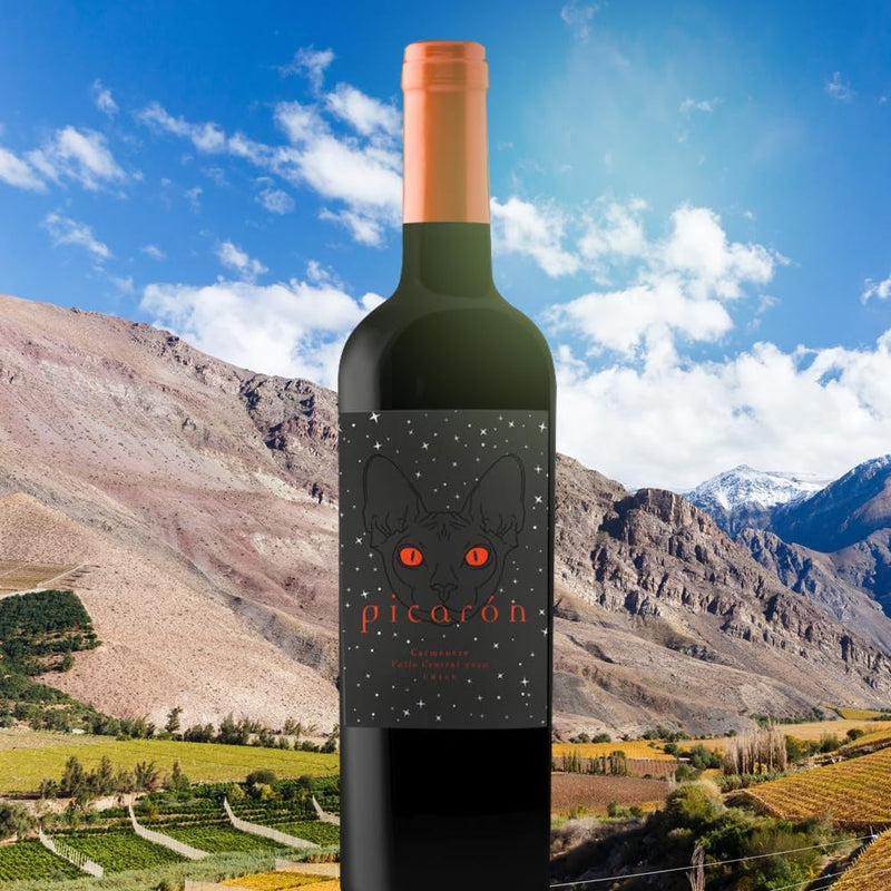 Vinho Chileno Picarón Carmenere 750Ml